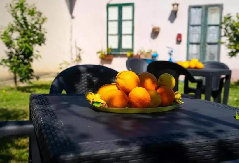 ホテル Il Madrigale   Agriturismo B&b
