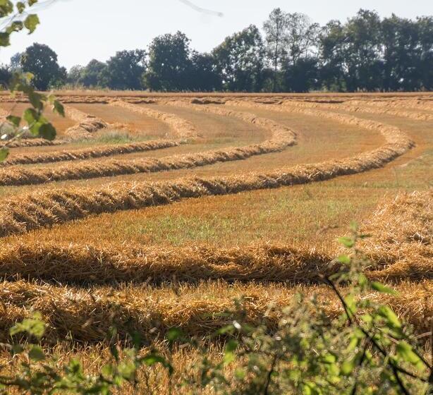 بنسيون Gîte De Charme La Cour Souveraine