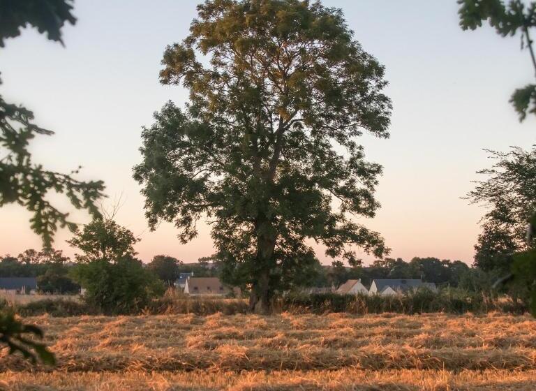 بنسيون Gîte De Charme La Cour Souveraine