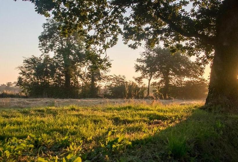 بنسيون Gîte De Charme La Cour Souveraine