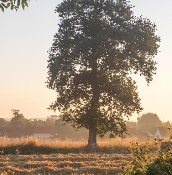 بنسيون Gîte De Charme La Cour Souveraine