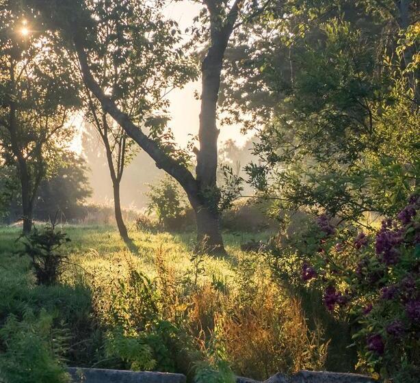 بنسيون Gîte De Charme La Cour Souveraine