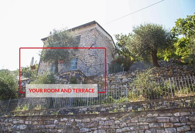 膳宿费 La Terrazza Con L Ulivo   Guesthouse Con Terrazza E Vista Sul Golfo Dei Poeti