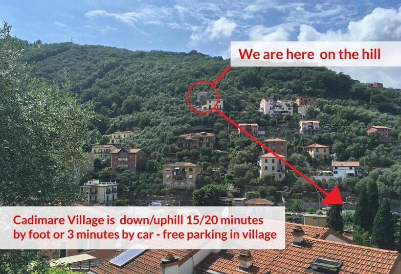 膳宿费 La Terrazza Con L Ulivo   Guesthouse Con Terrazza E Vista Sul Golfo Dei Poeti