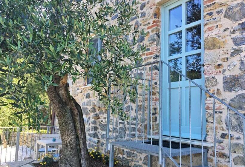 膳宿费 La Terrazza Con L Ulivo   Guesthouse Con Terrazza E Vista Sul Golfo Dei Poeti