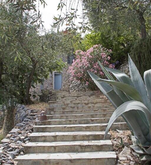 膳宿费 La Terrazza Con L Ulivo   Guesthouse Con Terrazza E Vista Sul Golfo Dei Poeti