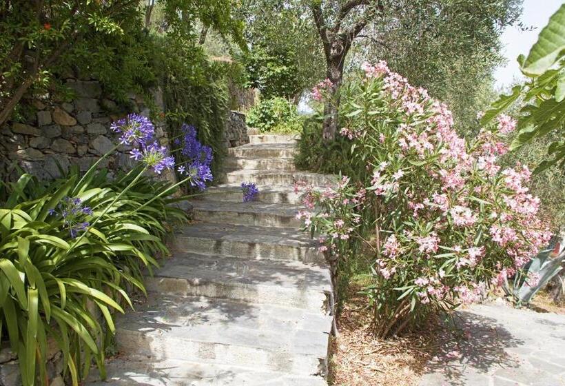 膳宿费 La Terrazza Con L Ulivo   Guesthouse Con Terrazza E Vista Sul Golfo Dei Poeti