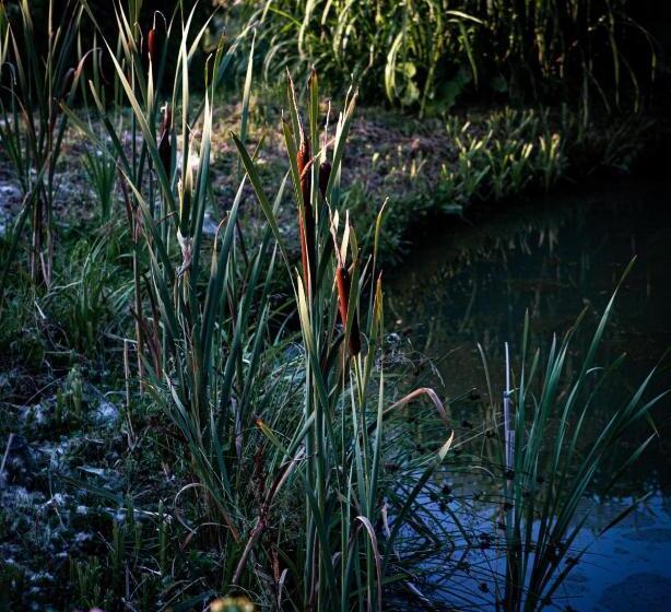 پانسیون Plateliai Samogitia Barn