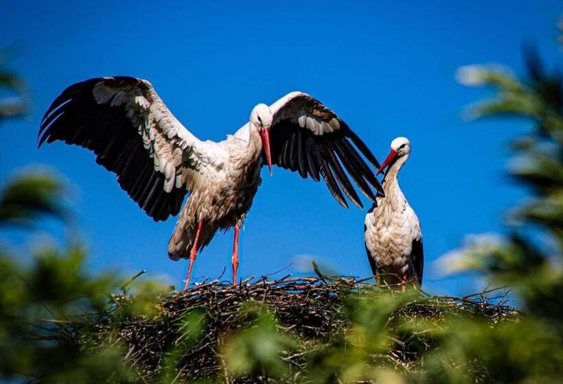پانسیون Plateliai Samogitia Barn
