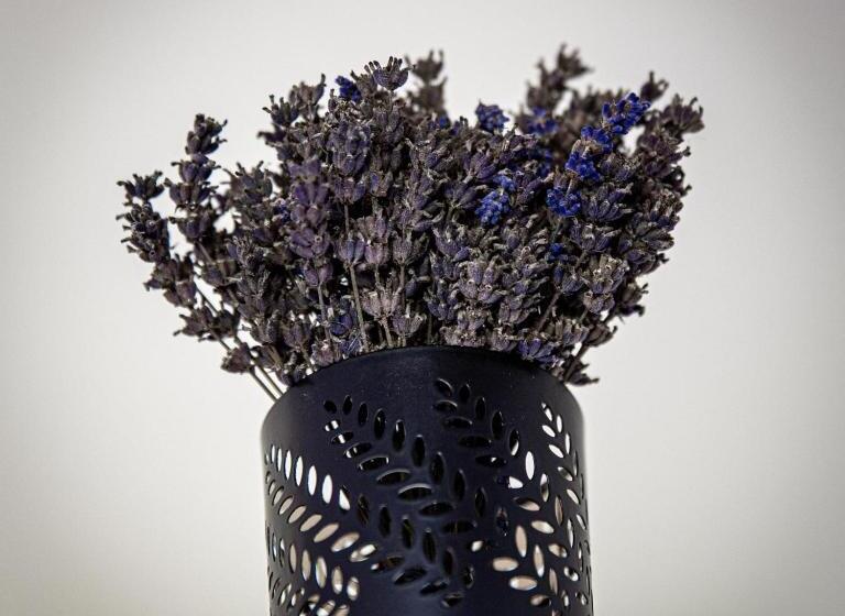 پانسیون Plateliai Samogitia Barn