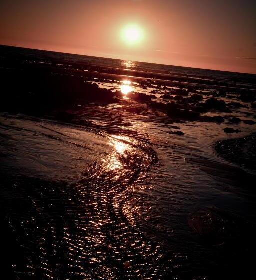 Bed and Breakfast Carpe Diem