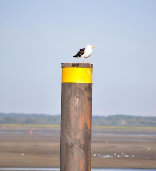 Bed and Breakfast Carpe Diem