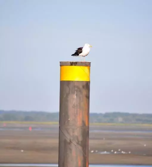 ベッドアンドブレックファースト Carpe Diem