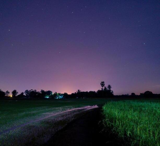 住宿加早餐  Kratomrimtung Homestay กระท่อมริมทุ่งโฮมสเตย์