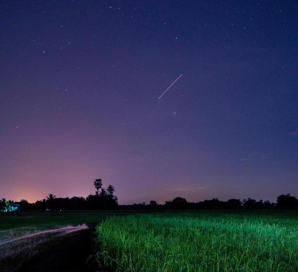 住宿加早餐  Kratomrimtung Homestay กระท่อมริมทุ่งโฮมสเตย์