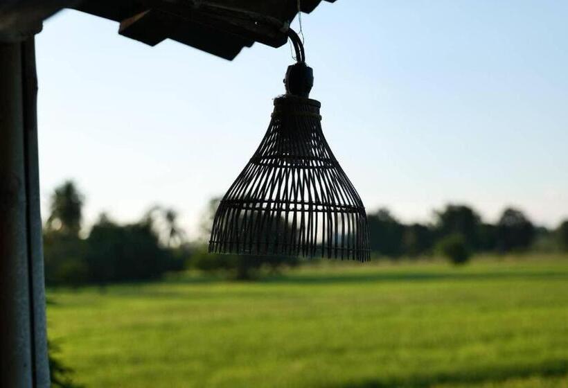 住宿加早餐  Kratomrimtung Homestay กระท่อมริมทุ่งโฮมสเตย์