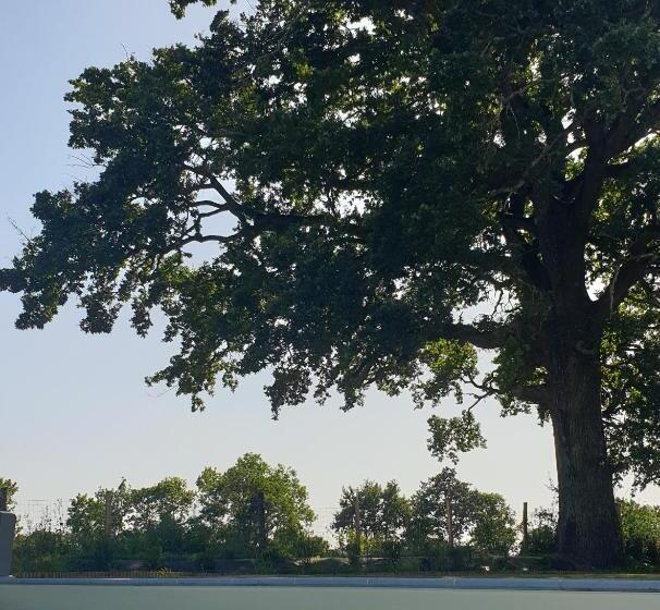 민박 Le Grand Jardin