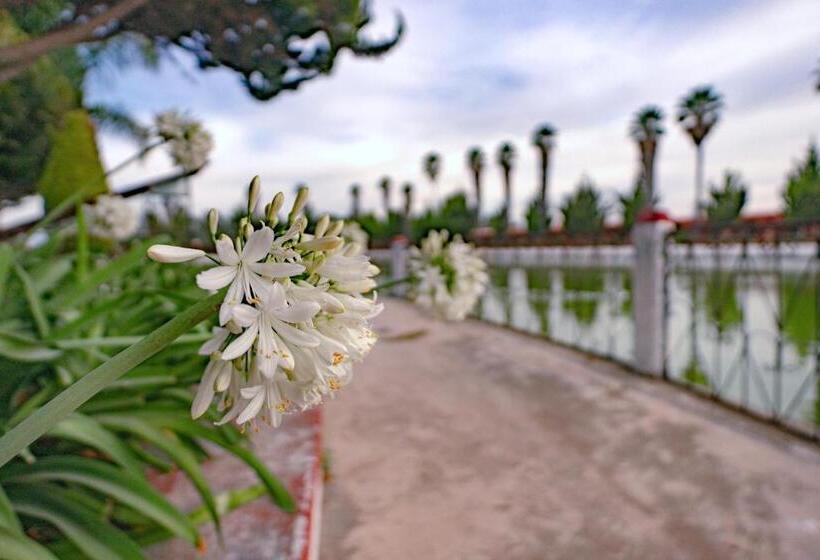 酒店 Oviedo   Club Campestre Teotihuacan