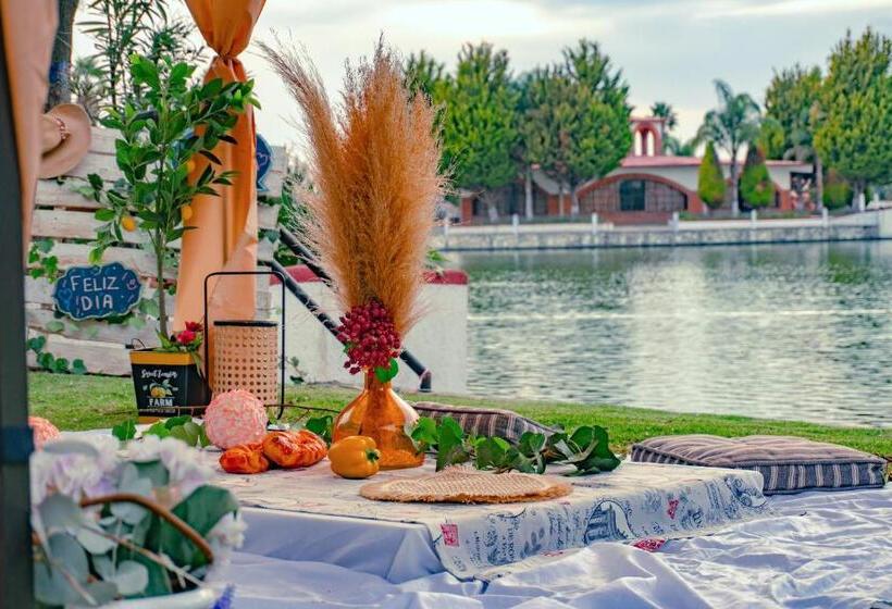 酒店 Oviedo   Club Campestre Teotihuacan