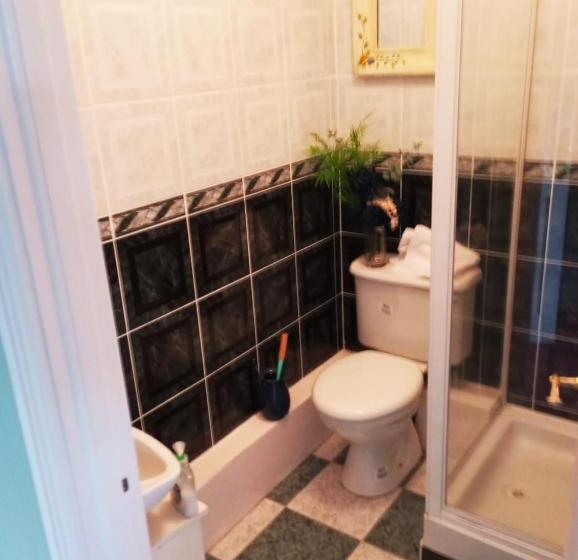 פנסיון Kiltubber House