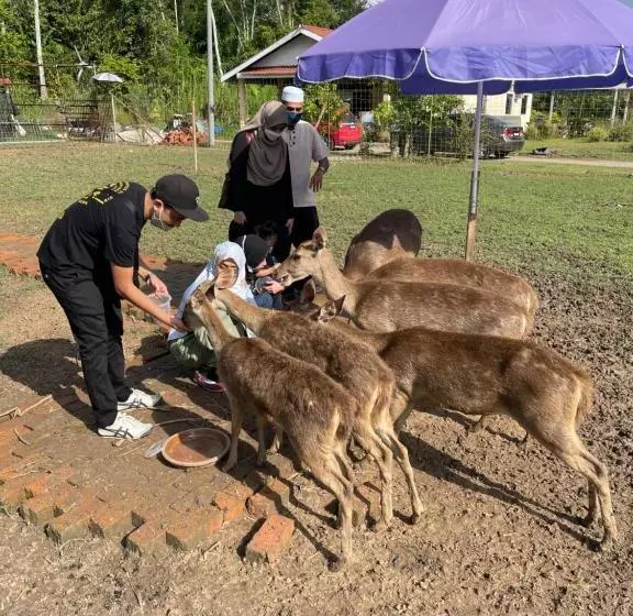 ペンション Branda Kampung Sumpitan Lenggong
