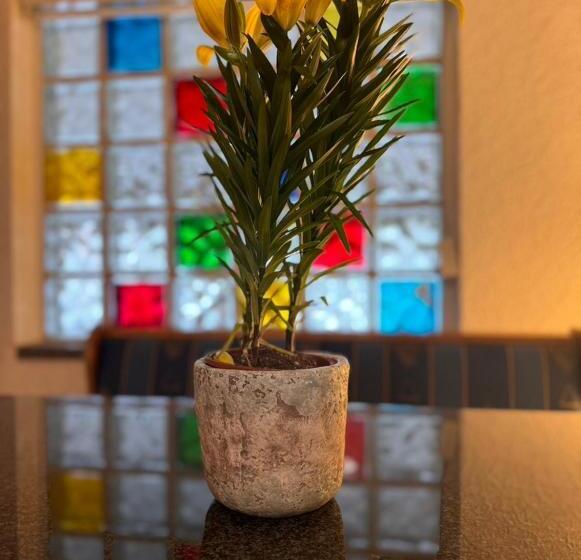 Pension Faulpelz   Apartment