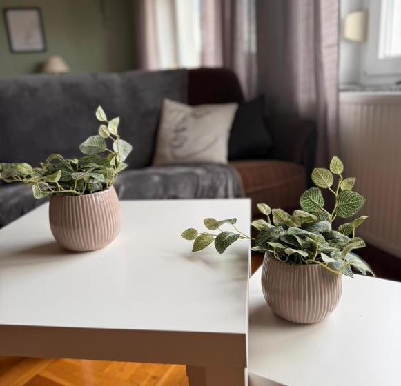 Pension Faulpelz   Apartment