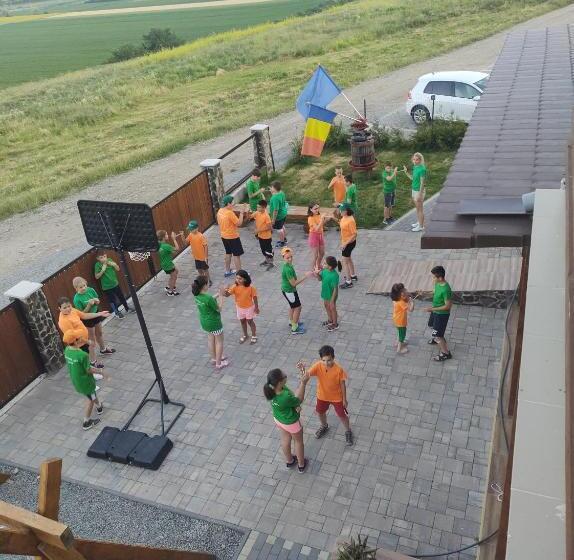 Pensiunea Casa Negrea