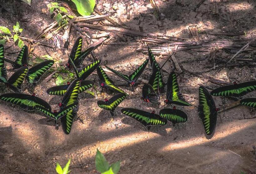 Sementra Hot Spring Nature Resort