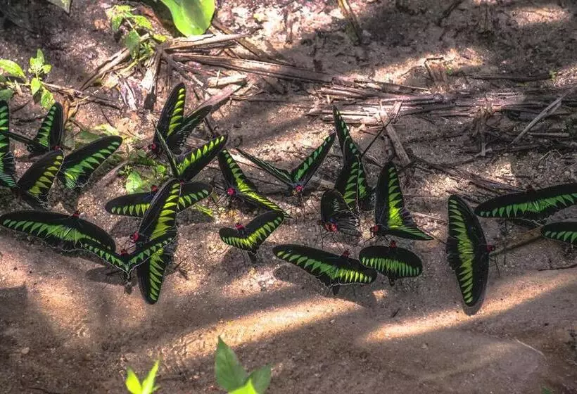 Sementra Hot Spring Nature Resort