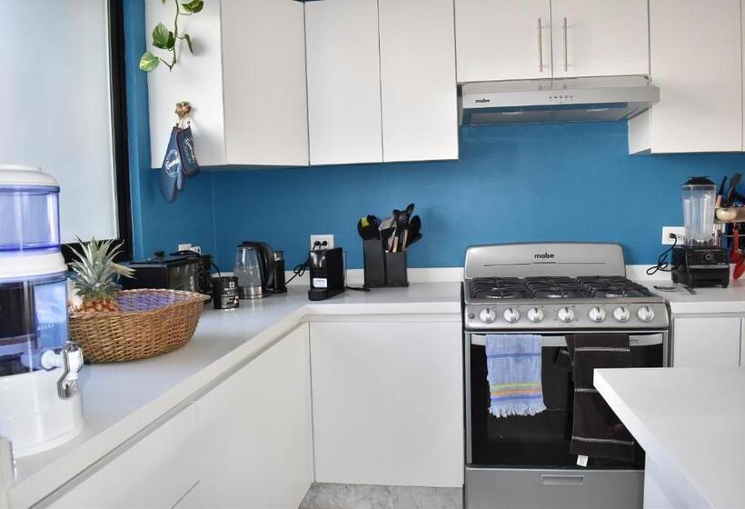 تختخواب و صبحانه Itzae Antigua San Miguel De Allende Dog Friendly