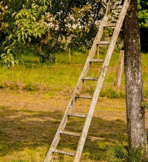 Bed and Breakfast The Goldfinch Normandy