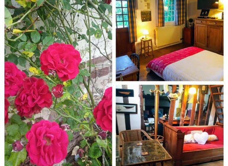 Bed and Breakfast The Goldfinch Normandy