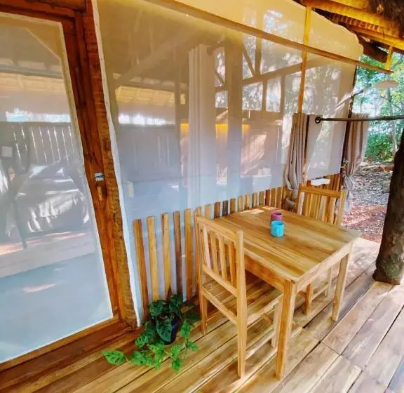 ホテル Ecoaraguaia Jungle Lodge