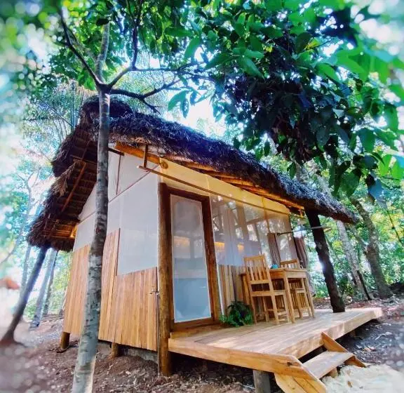 ホテル Ecoaraguaia Jungle Lodge