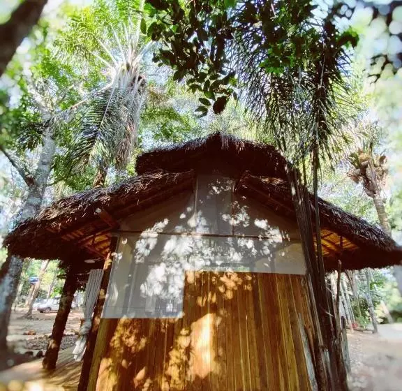 ホテル Ecoaraguaia Jungle Lodge