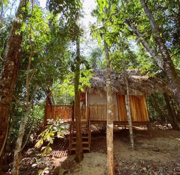 ホテル Ecoaraguaia Jungle Lodge