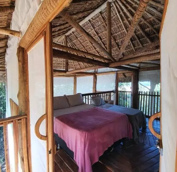 ホテル Ecoaraguaia Jungle Lodge