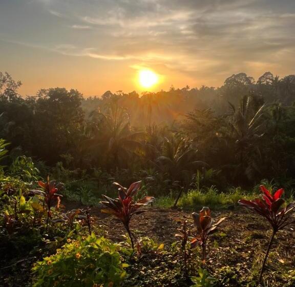 Otel Tetebatu Jungle Vibes
