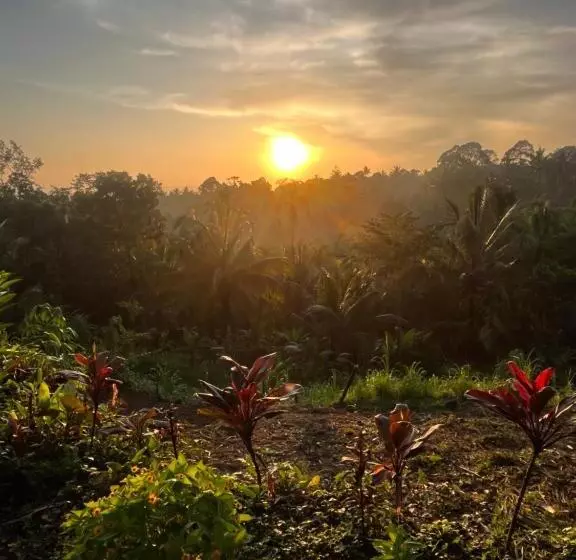 ホテル Tetebatu Jungle Vibes