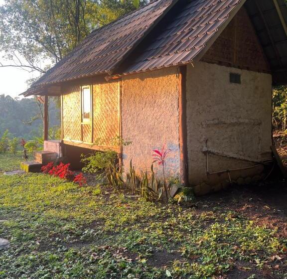 Otel Tetebatu Jungle Vibes