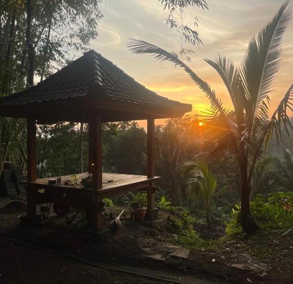 Otel Tetebatu Jungle Vibes