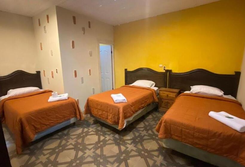 پانسیون Casa Colonial