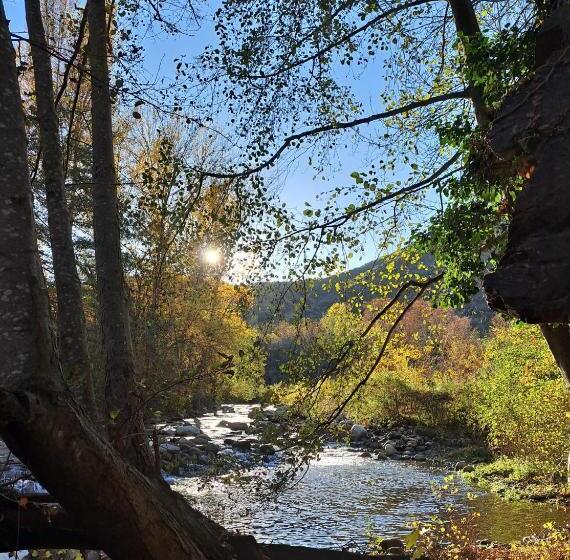 Пансион Moli D  En Camps