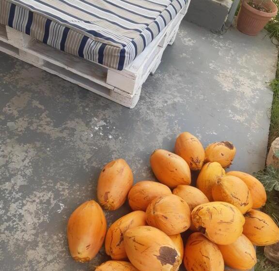 پانسیون Papol Et Tella Guesthouse