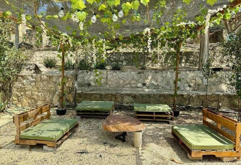 پانسیون Villa Mohana