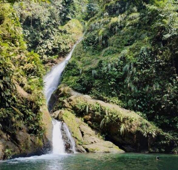 Hotel Bruselas Mutata