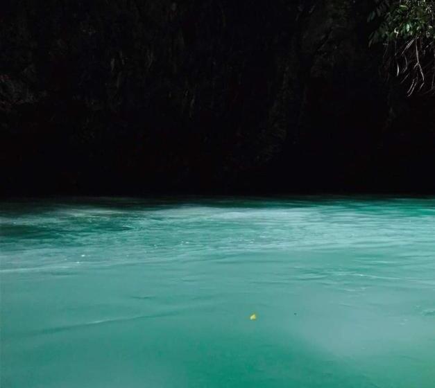 Hotel Bruselas Mutata