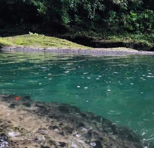 Hotel Bruselas Mutata