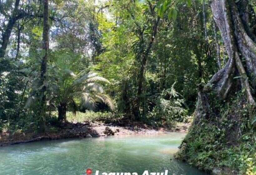 Hotel Bruselas Mutata